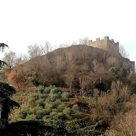 Quadrisfera Daire *
